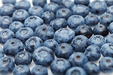 Image showing blueberry berries isolated on white background