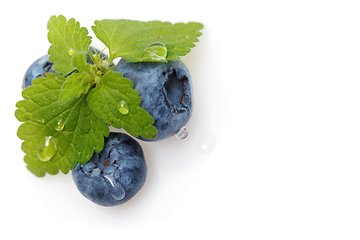 Image showing blueberry berries isolated on white background