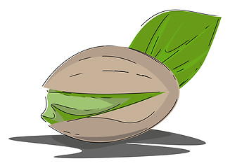 Image showing Cartoon oval nut of the pistachio tree/Desert green nuts vector 