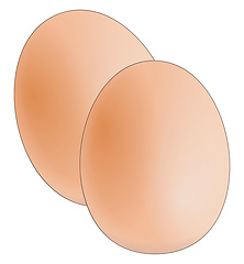 Image showing Farm fresh eggs vector or color illustration