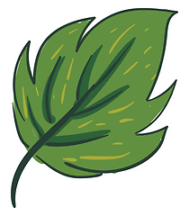 Image showing Clipart of an ovate green leaf with a margin small yellow lines 