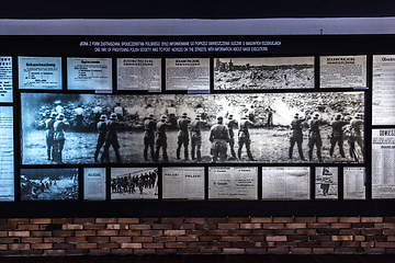 Image showing Exhibition in Concentration camp in Auschwitz.