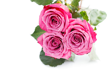 Image showing pink roses isolated on white