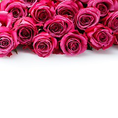 Image showing pink roses isolated on white