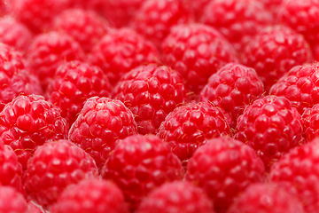 Image showing many raspberry berries isolated on white