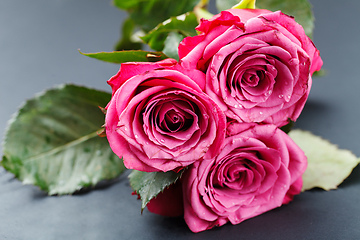 Image showing pink roses isolated on white