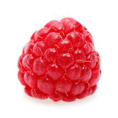 Image showing raspberry berry macro shot isolated on white