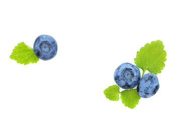 Image showing blueberry berries isolated on white background