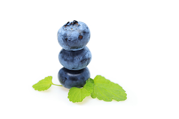 Image showing blueberry berries isolated on white background