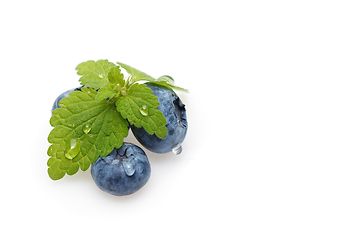 Image showing blueberry berries isolated on white background