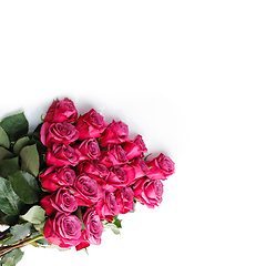 Image showing pink roses isolated on white