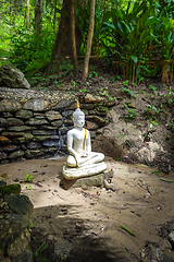 Image showing Buddha statue in jungle, Wat Palad, Chiang Mai, Thailand