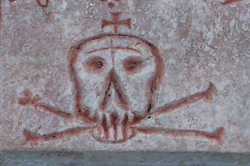 Image showing Skull