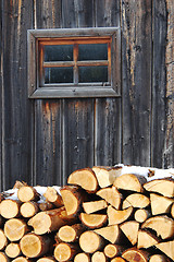 Image showing Pile of Wood