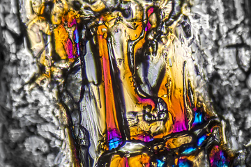 Image showing Ammonium sulfate microcrystals