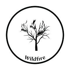 Image showing Wildfire icon