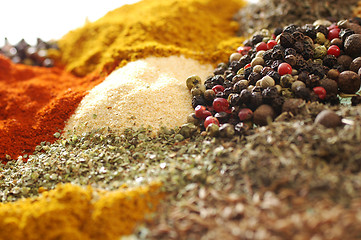 Image showing Spices