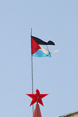 Image showing Palestinian flag