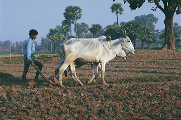 Image showing Boy