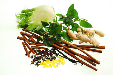 Image showing Spices