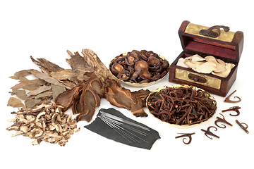 Image showing Chinese Acupuncture and Herbs for Holistic Health Care