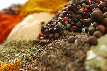 Image showing Spices