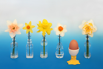 Image showing Daffodil Flowers and Symbols of Spring and Easter