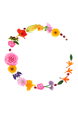 Image showing Abstract Medicinal Herb and Flower Wreath