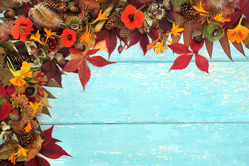 Image showing Autumn Harvest Abundance Background Border