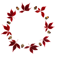 Image showing Abstract Maple and Acorn Autumn Wreath