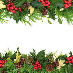 Image showing Winter Greenery for Christmas and New Year Background  