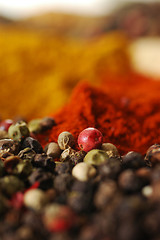 Image showing Aromatic spices