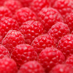 Image showing many raspberry berries isolated on white