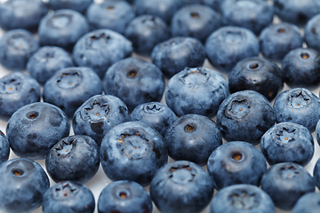 Image showing blueberry berries isolated on white background