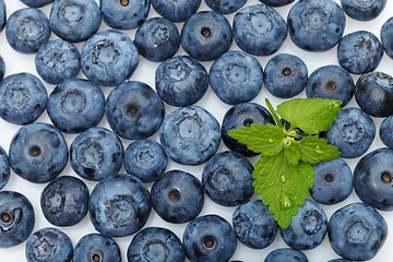 Image showing blueberry berries isolated on white background