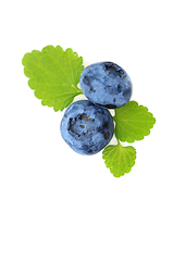 Image showing blueberry berries isolated on white background