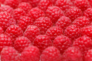 Image showing many raspberry berries isolated on white