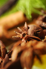 Image showing Aromatic spices