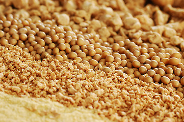 Image showing Soya beans