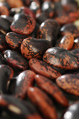 Image showing Beans