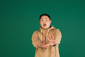 Image showing Asian man\'s portrait isolated over green studio background with copyspace