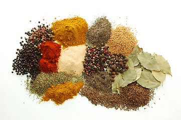 Image showing Spices