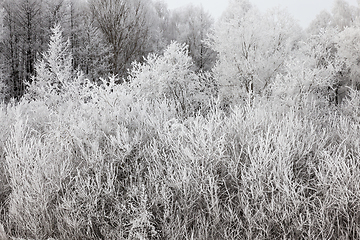 Image showing Snow drifts in winter