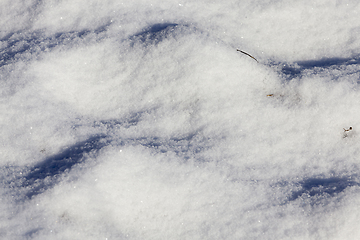 Image showing After snowfall