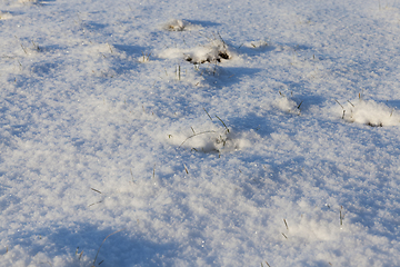 Image showing After snowfall