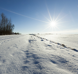 Image showing Winter time