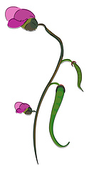 Image showing Clipart of a green-colored bean plant vector or color illustrati