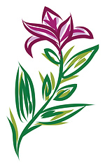 Image showing A flowers peduncle vector or color illustration