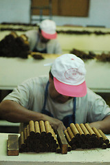 Image showing Cigars