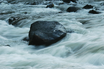 Image showing Brook